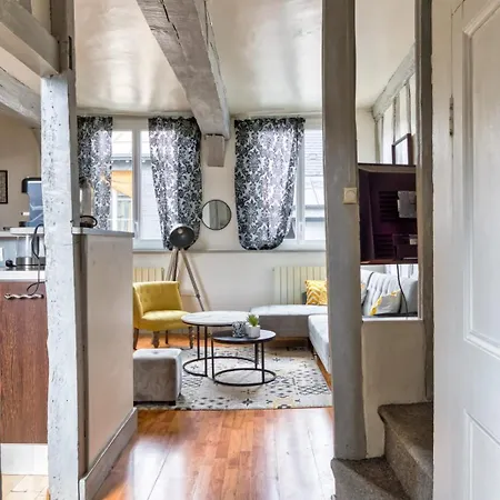 Apartament Le Auguste Duplex Avec Terrasse Rouen